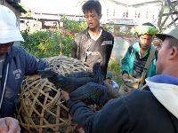 4 - Lac Inle - Pindaya - Kalaw (29)